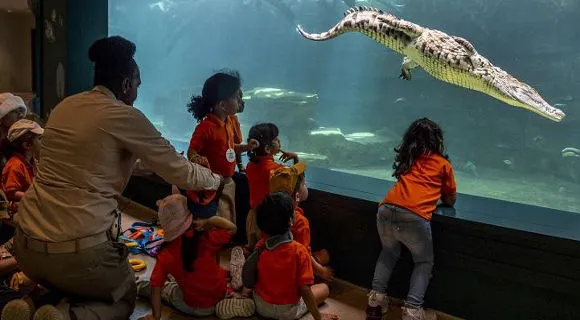 Crocodile Park Dubai